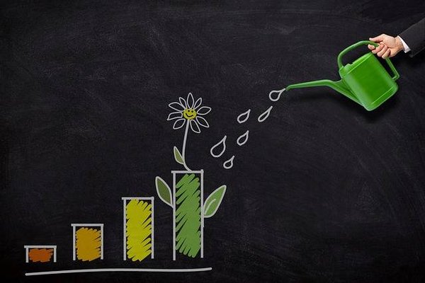 Comment optimiser la rentabilité d'un investissement immobilier avec le dispositif Pinel ?